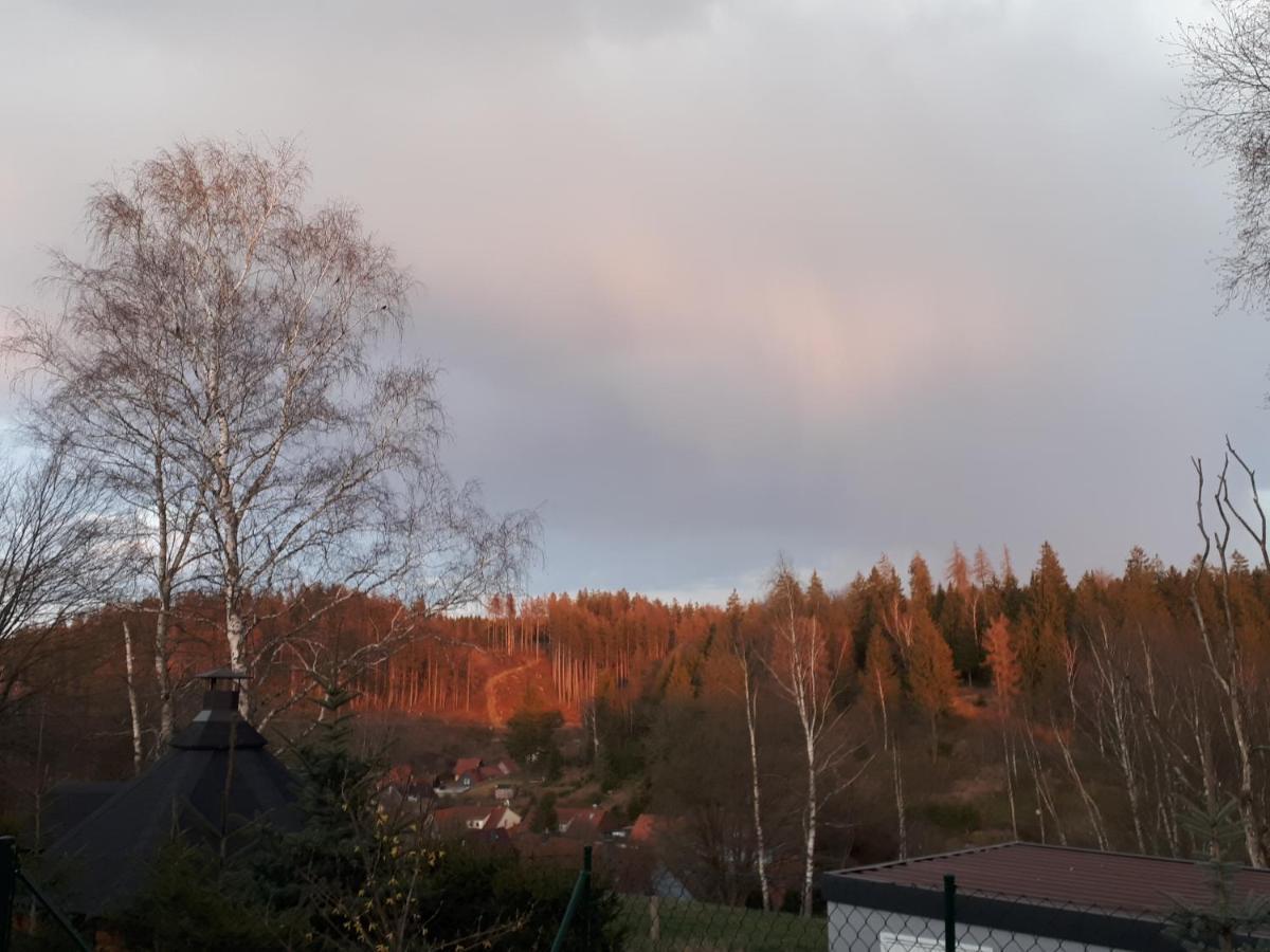 Behagliches Ferienhaus Zaunkoenig -Mit Kamin Und Sauna Tanne Eksteriør bilde